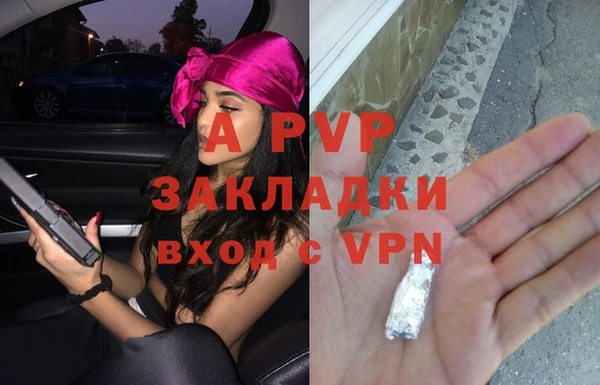 гашик Покачи