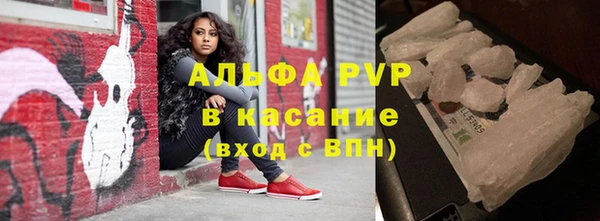 шишки Весьегонск