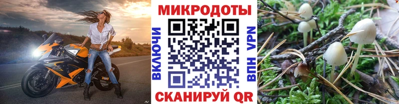 Псилоцибиновые грибы Magic Shrooms  Починок 