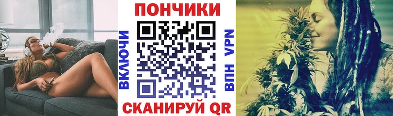 Шишки марихуана план  как найти наркотики  Починок 